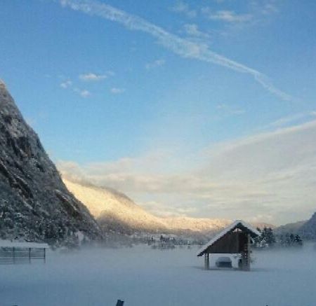 Vihar Apartmaji Bohinj Bagian luar foto