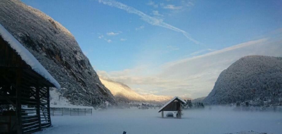 Vihar Apartmaji Bohinj Bagian luar foto